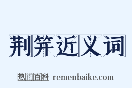 荆笄近义词是什么意思的图片